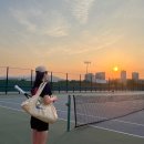 프로체육관 이미지
