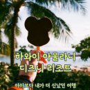 더(The) 스타일난다 | 🏰 하와이 아울라니 디즈니 리조트 후기 - 아이보다 내가 더 신났던 여행의 기억