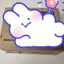 메디포엘 이미지