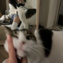 꽁뜨네일 | 여러분 내일이 12월이래요-!