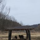NR-47[금강로]-상-185 | [서천국립생태원] 에코리움/5대기후관/전기차 후기