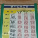 진도항 Daum카페