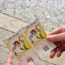 쇼타임(단체관람) | [태교여행] 임산부의 오키나와 여행 day3 (feat. 만자모 곶, 유투어버스, 츄라우미수족관, 아메리칸...