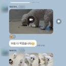 개러리아 송파점 네이버블로그