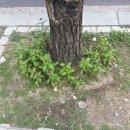 등촌주유소 이미지