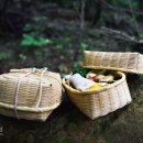 오고생이 이미지