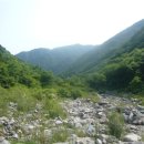 방태산약초