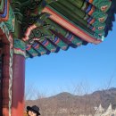 소양호밸리마을