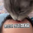 고양이 인간아기 공동육아 개귀욤ㅋㅋㅋㅋ 이미지