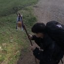 비석거리-중산간도로 | 12월 산티아고 순례길 day38 A Pena ~ Logoso (어 페나 ~ 로고소) 27.99km feat. 퉁퉁이 발