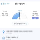 신안명품세탁소 네이버블로그