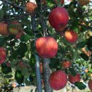 백양사농업협동조합 이미지