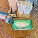 국수나무 속초교동점 | [속초_교동 카페] 이아이아오 로스터스 - 애교 많은 고양이가 있는 오렌지컬러로 톡톡 튀는 감성...