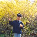 제주관광대학 부속유치원 이미지