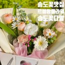 송도꽃집 르블랑플라워 송도 파스텔 꽃다발 후기