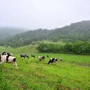 배나무목장 이미지