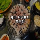 불품은 돼지 | [제주] 제주시 서귀포시 흑돼지 맛집 흑돈향 내돈내산 후기