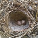 지경 그곳 이미지