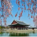 경회루 - 부산진구 새싹로29번길 5 | 경회루