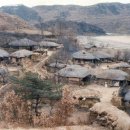 도목리 Daum카페