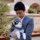김울프
