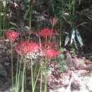 김종길농장 이미지