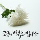 네오엠