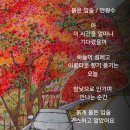 붉은입술 이미지