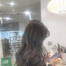 플랜헤어 이미지