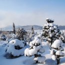 고요정원 이미지