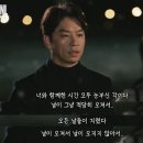 도깨비참치