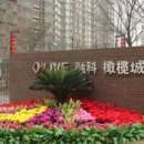 올리브민박 이미지