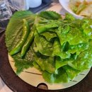 제주 성산횟집 성산포수협 활어회센터 신선한 고등어회