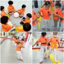 용인대 새빛 태권도장 이미지