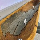 창녕비봉리패총전시관 | [여행] 창녕 비봉리 패총전시관