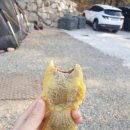 나만알고싶은 초롱별 야영장1박2일 명당자리 후기