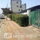 동일리-7 이미지