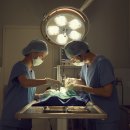 도안동물병원 이미지