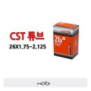 씨에스티