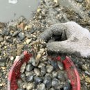 노블레스팬션 이미지