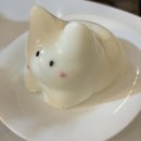 [성신여대] 버터플로우 성신여대역 로대오 예쁜 디저트 맛집 카페 위치 운영시간 전화번호 인스타 후기
