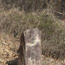 울산사랑의지팡이 이미지