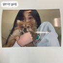 카페후훗