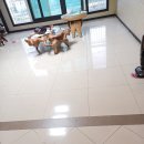 월곶 유호2차아파트 이미지