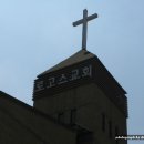 로고스교회 티스토리