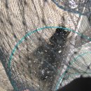 k1한국바다낚시터 이미지