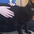 이웃집 동물병원 이미지