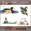 상원여자중학교 | 자생동식물 세밀화 공모전 시상식 다녀온 성남씨앤씨 친구들