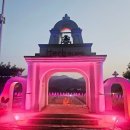 빛(꽃)의정원 | 포천 허브아일랜드 핑크빛 정원 후기