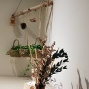 로텐바우